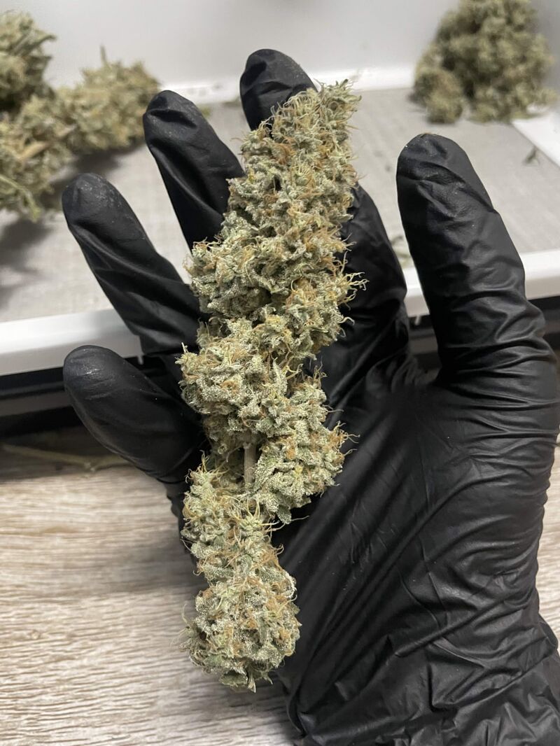 Grape Diamonds R2, Фасовка: 5, изображение 4